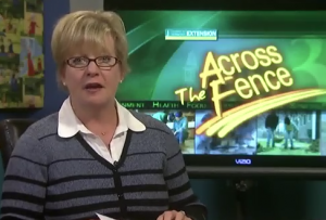 Video_AcrossTheFence